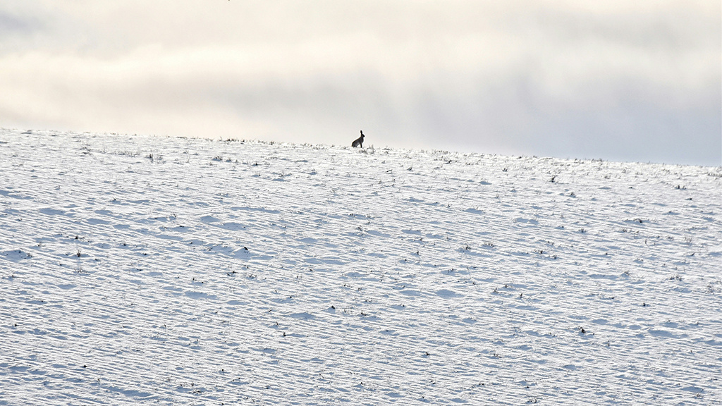 Фото: George Hiles / Unsplash