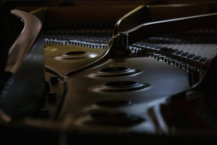 Ges-2.org/Аня Тодич
