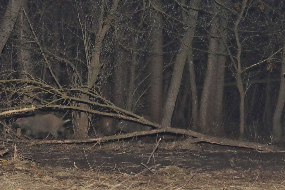 И так бывает :(