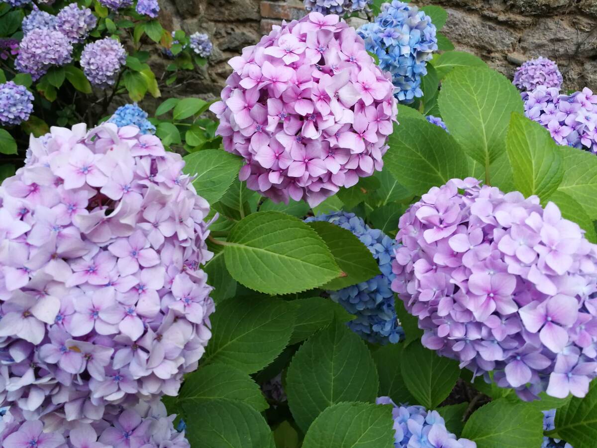 Ессентуки - парк. Фото автора