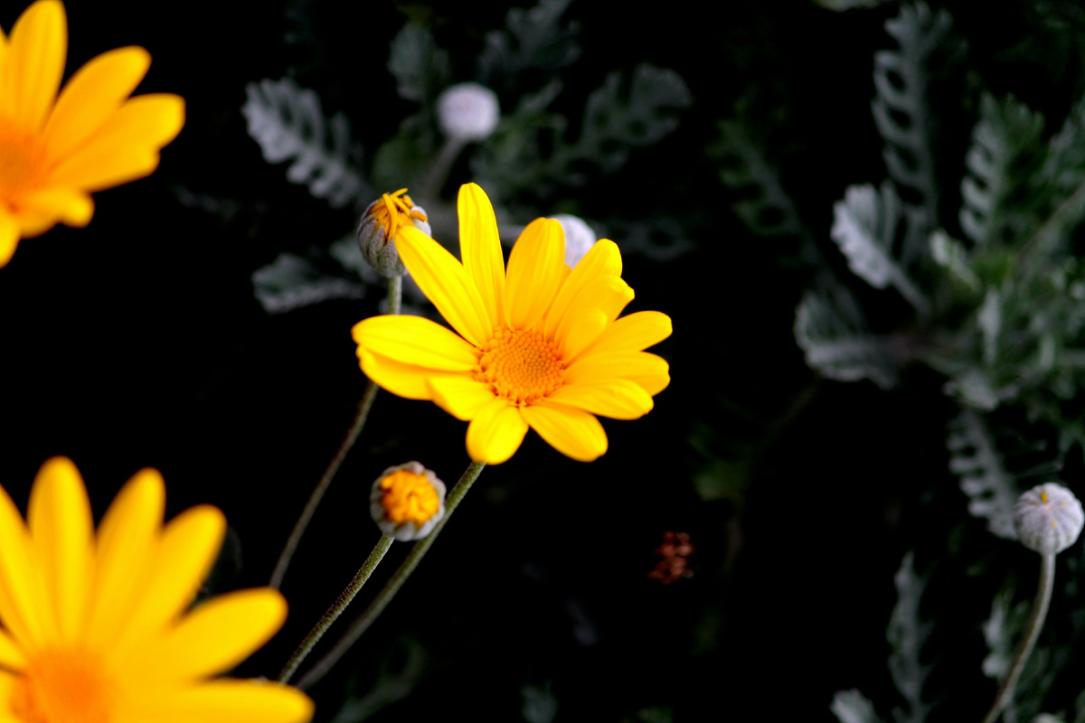 Картинка с бесплатного фотостока https://unsplash.com, автор Emre Coskun