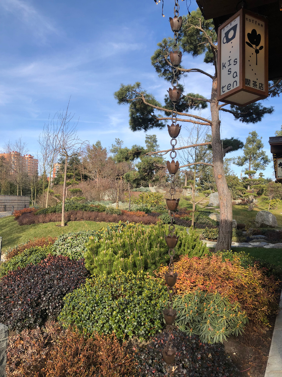 Январь в Японском саду. 08.01.2025