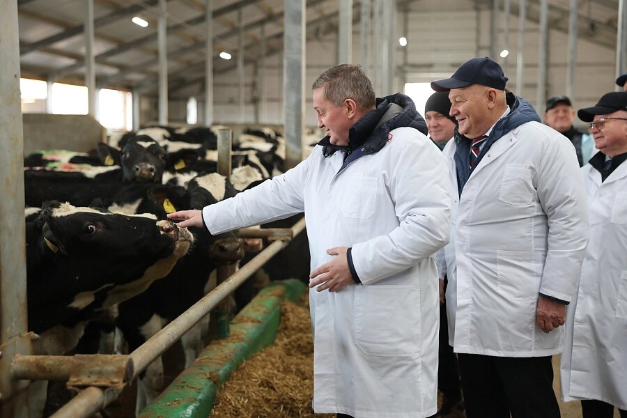    Фото: Администрация Волгоградской области