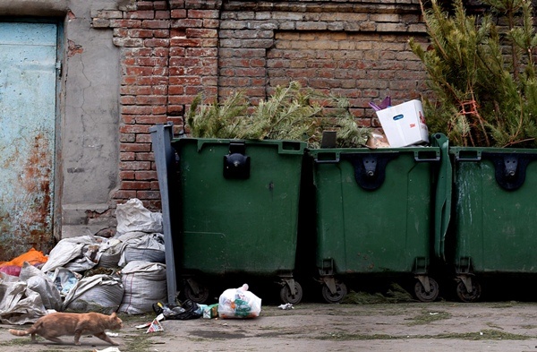 Фото: Валерий Матыцин/ТАСС
