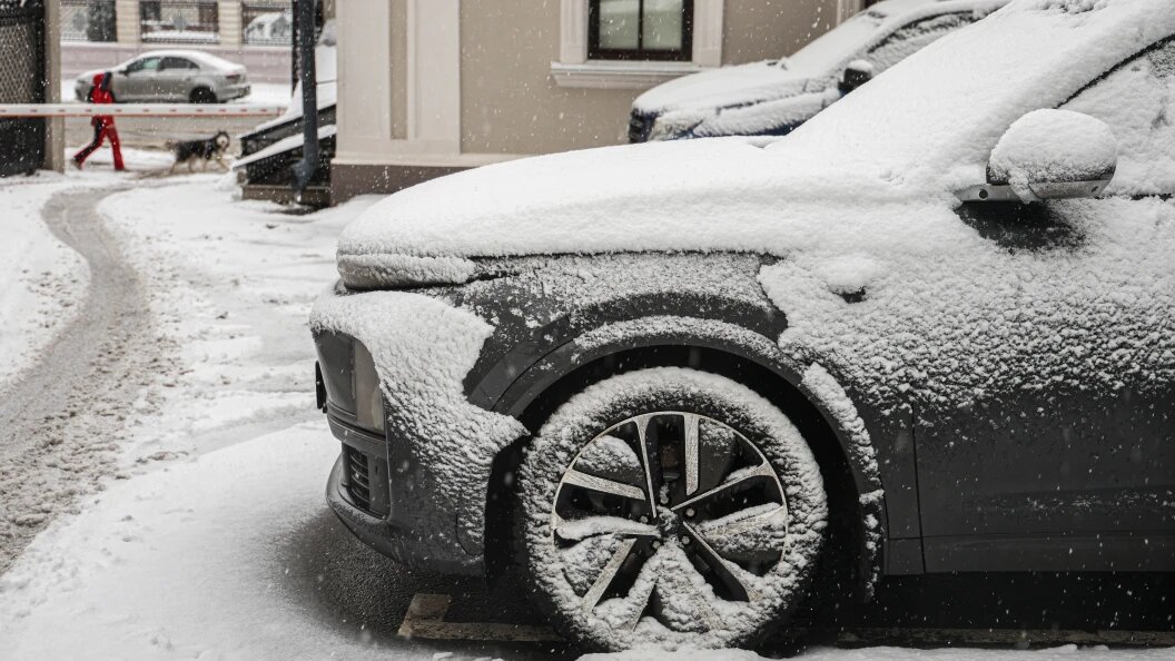    фото: Andrey Titov/Business Online/Globallookpress