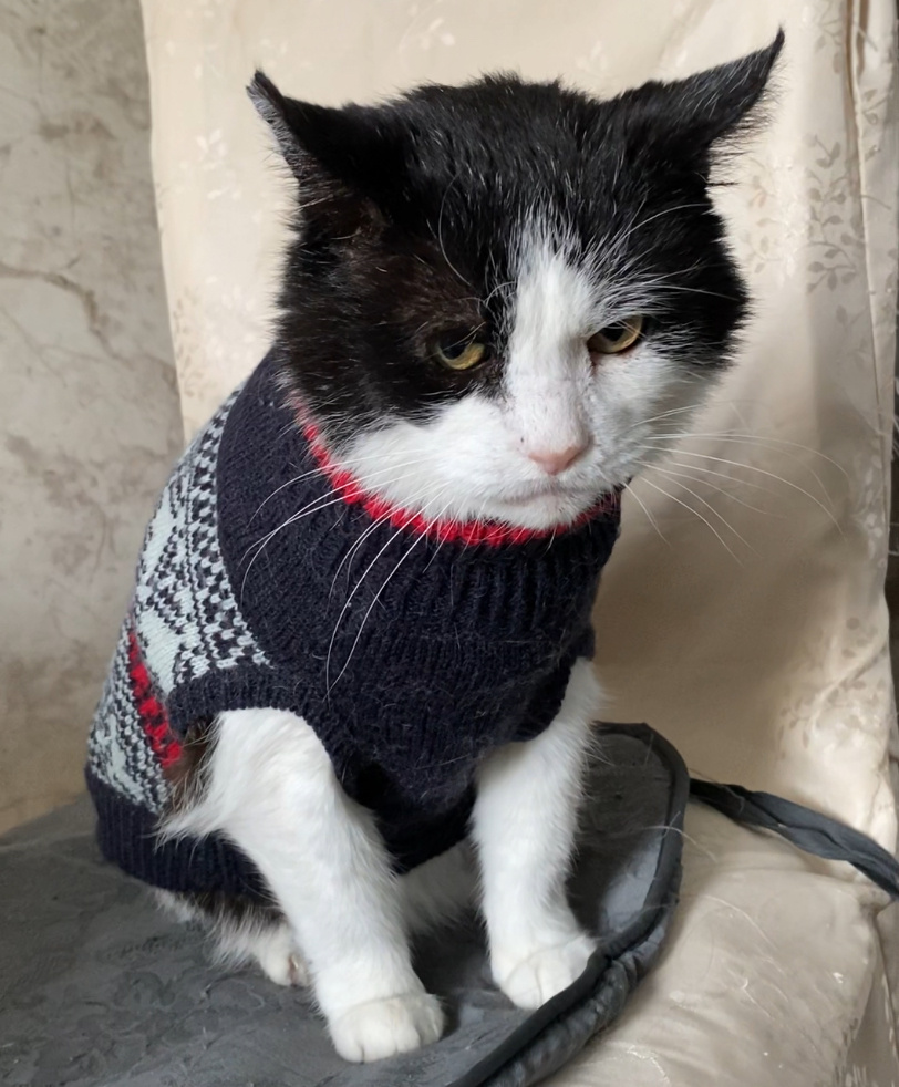 Фото автора. Цедрик. Из симптомов мы столкнулись с ночными блужданиями и вокализацией