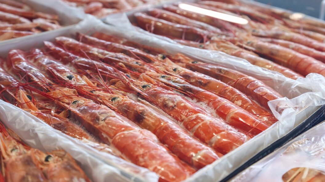    Фото: Shatokhina Natalia/news.ru/Globallookpress