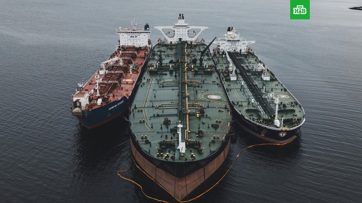    Фото: Natalya Letunova / unsplash.com