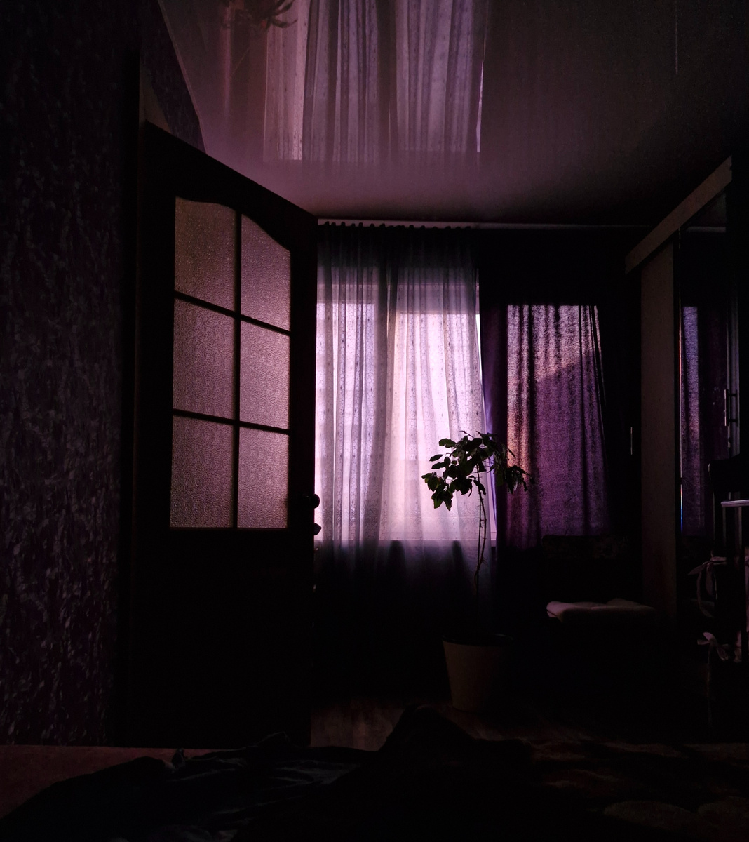 Представляю, куда поставлю новый фикус. На фото запечатлен сиреневый закат.