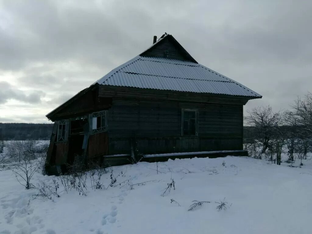 Зимой комфортнее всего искать в заброшенных старых домах.