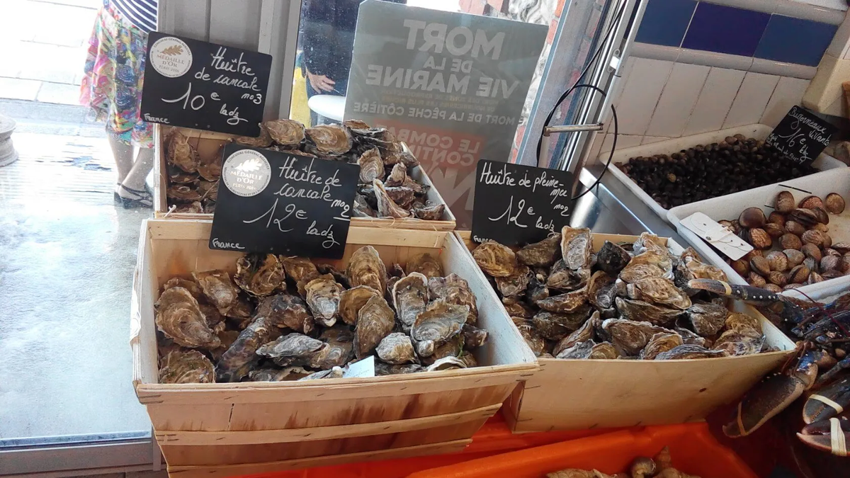 те самые устрицы