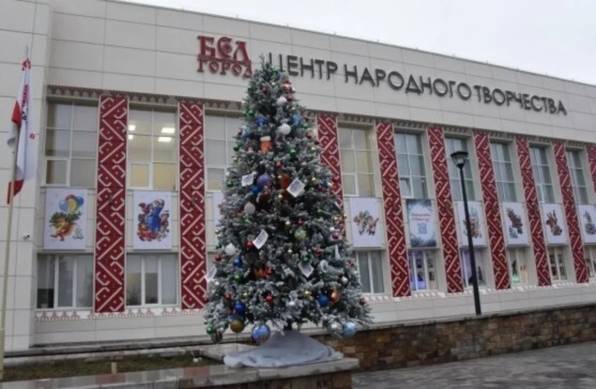    Белгородская ель стала призёром всероссийского конкурса