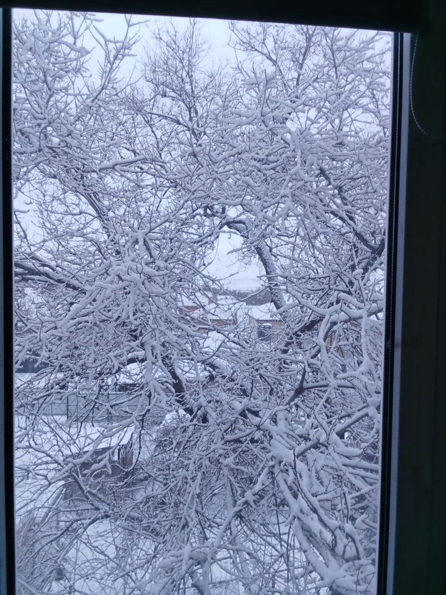 Утреннее фото внучки из окна. 