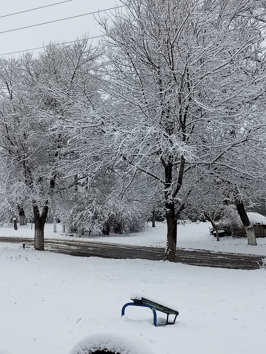 Сегодня утром. 