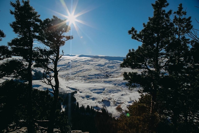    Фото: пресс-служба Правительства Адыгеи