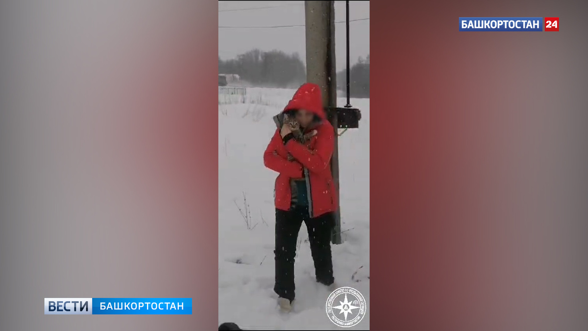   Под Уфой спасатели помогли кошке, три дня просидевшей на столбе