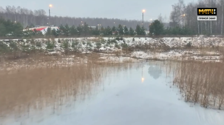 Скрин трансляции. 