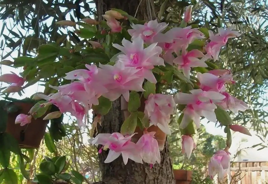 Фото из интернета