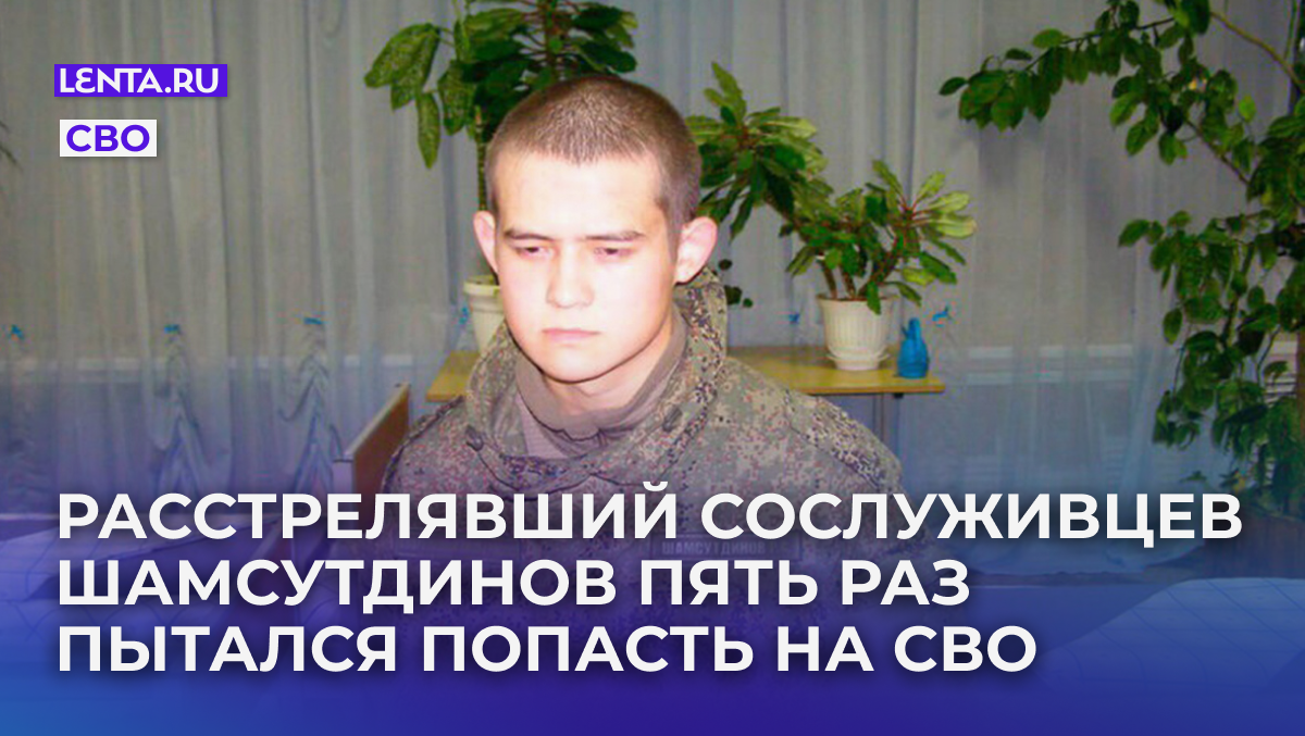 Фото: mig41 / Telegram