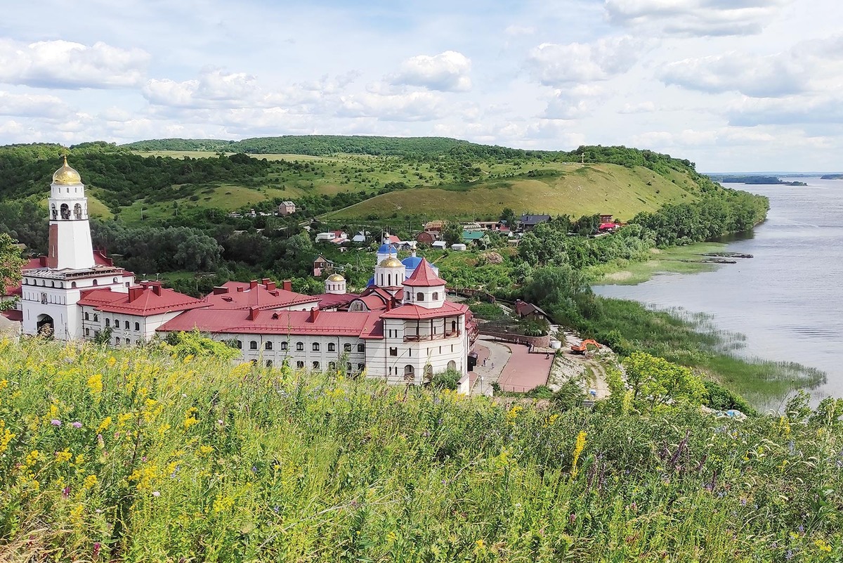 Брянская область село луговское. Узюковский лес. Луговское самарская область. Луговское самарская область. Село августовка самарская область.