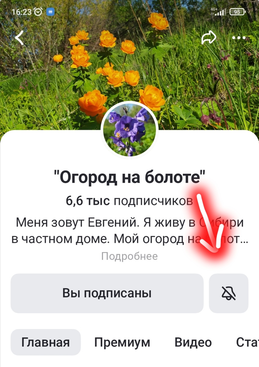 Спасибо за подписку!