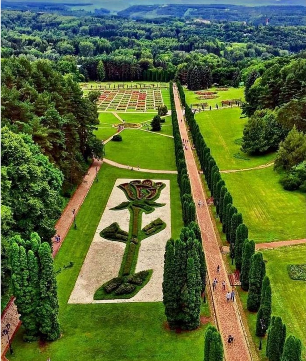 Долина роз, вид с канатки в парке «Кисловодский»