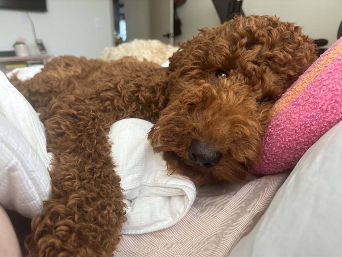    «Первая вещь, которую я вижу, когда просыпаюсь».