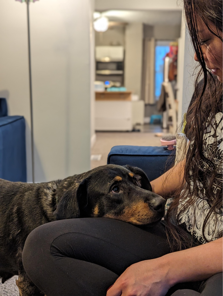    «Забрала эту девочку из приюта два часа назад».