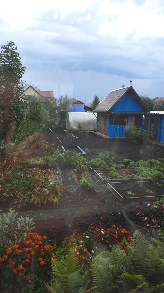 Баня на огороде. За баней теплица.