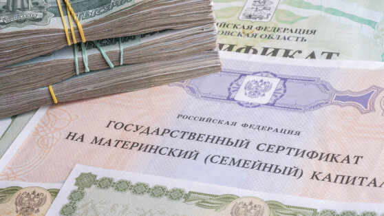    На программу материнского капитала в 2028–2030 годах потребуется более 2 трлн рублей Роман Захаров