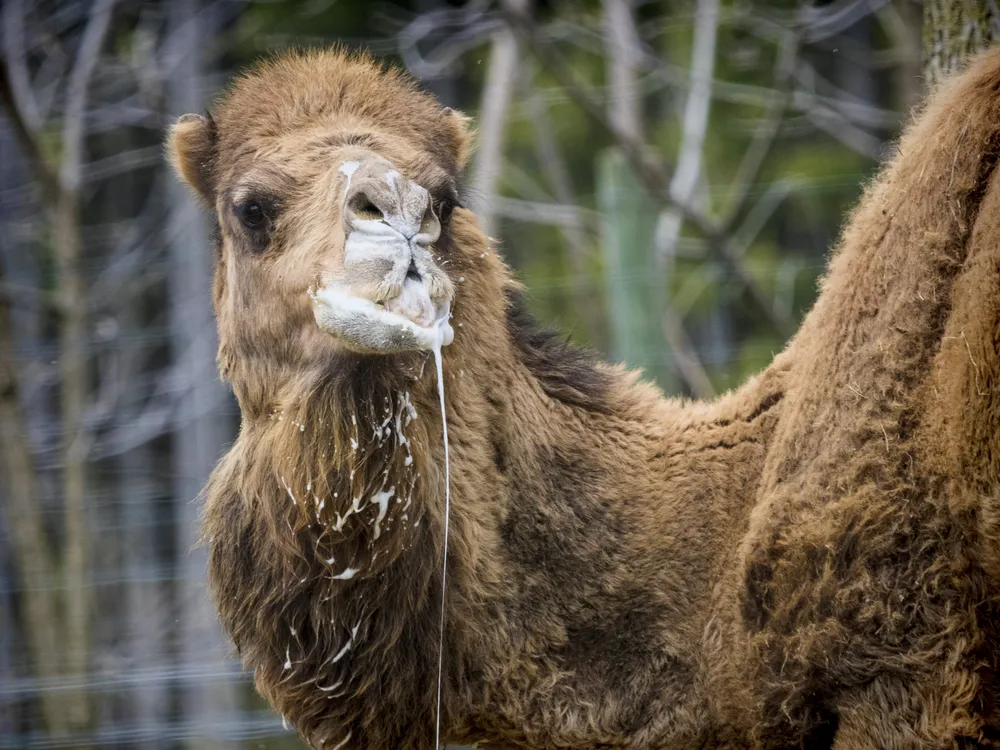 ,      .     ,     . 