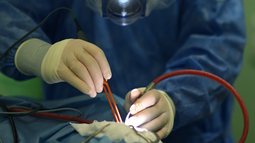    Фото: © РИА Новости/Алексей Майшев; 5-tv.ru