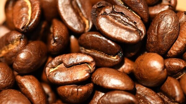    © Sputnik / Илья Наймушин