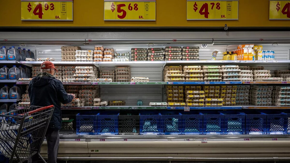 Покупатель у холодильником с яйцами в продуктовом магазине HEB (8 февраля 2023). Остин - Sputnik Армения, 1920, 14.01.2025
© Getty Images / Brandon Bell