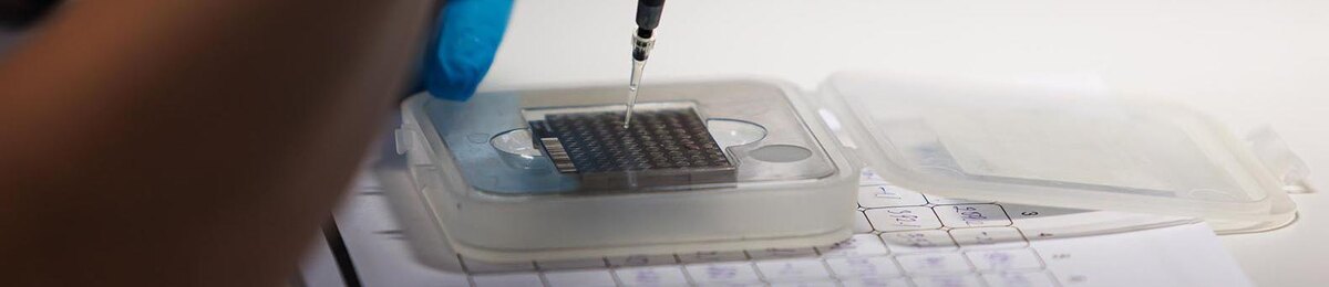    Фото: Антон Вергун