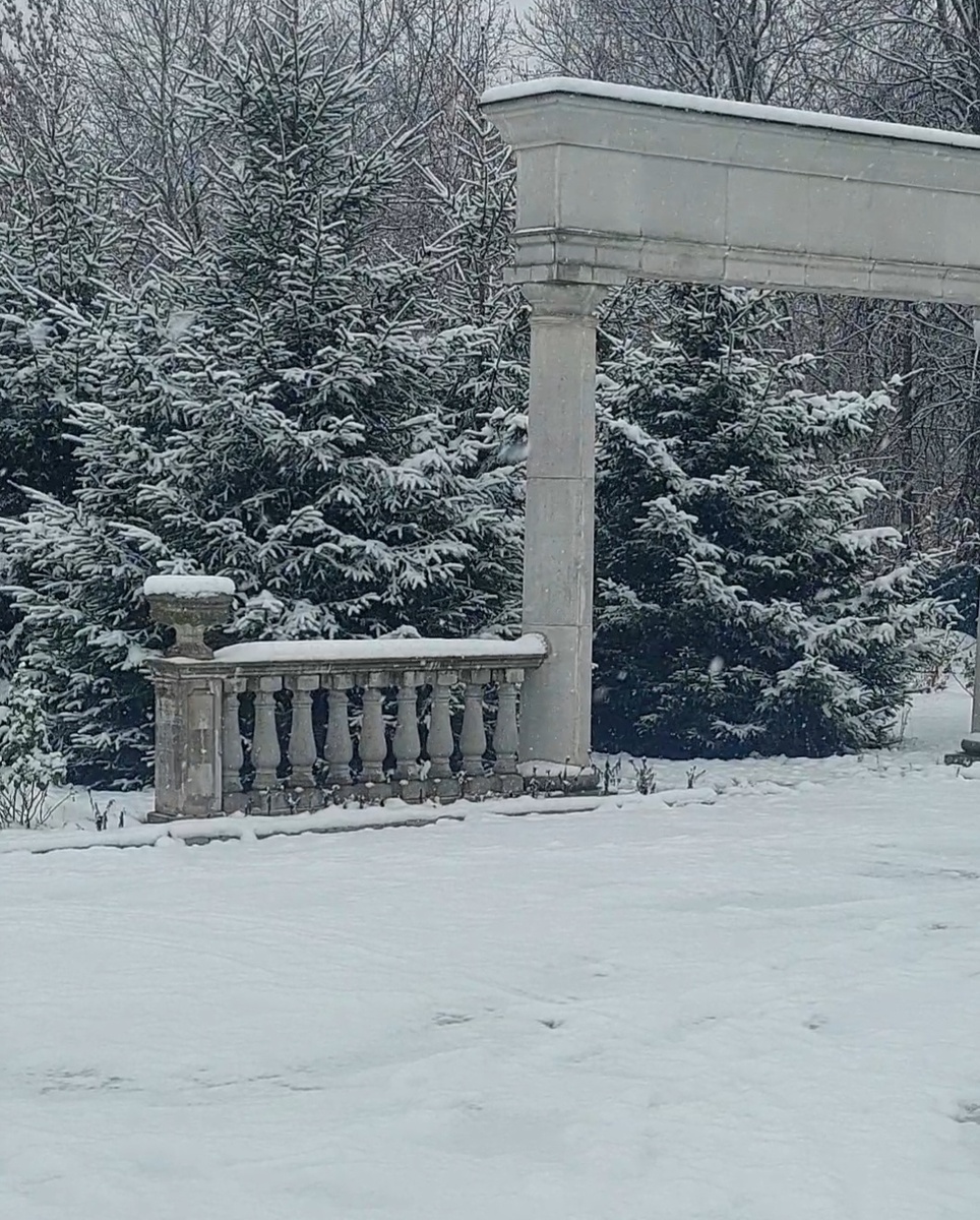 Фото автора.