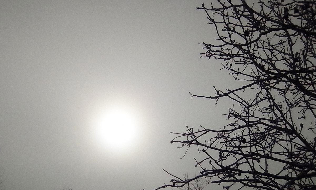 Серая пелена застит солнышко
