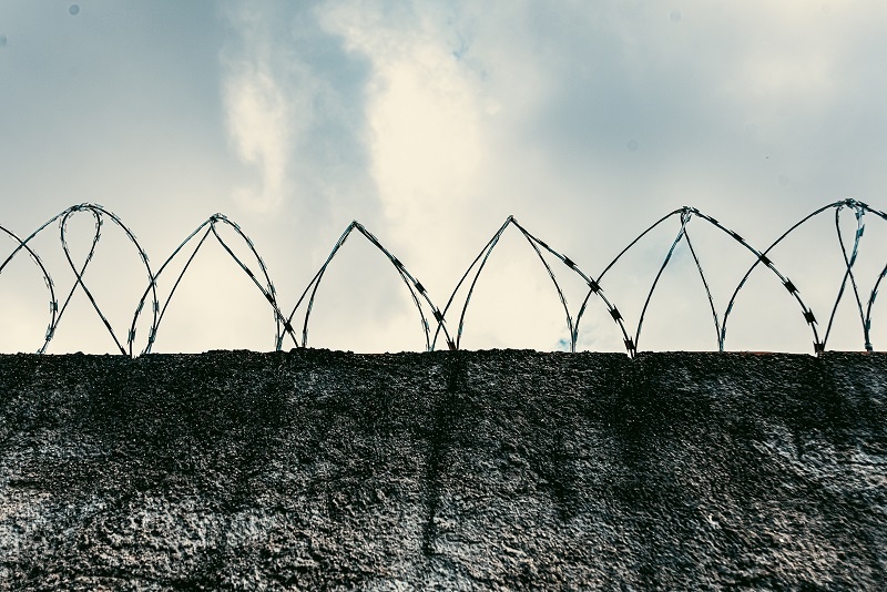    Фото: Mateus Andre/Freepik