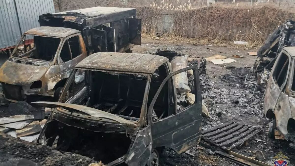     Источник: ГУ МВД России по Волгоградской области