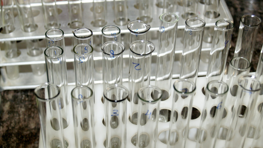    Alexander Legky/Global Look Press/Globallookpress