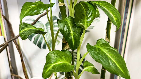     Фото: Polozovsky   
 Текст: Татьяна Косолапова