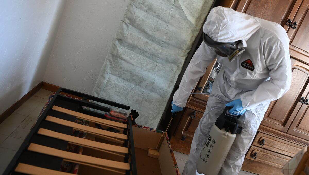 Эффективная травля домашних постельных клопов в Москве: избавьтесь от нежелательных соседей!