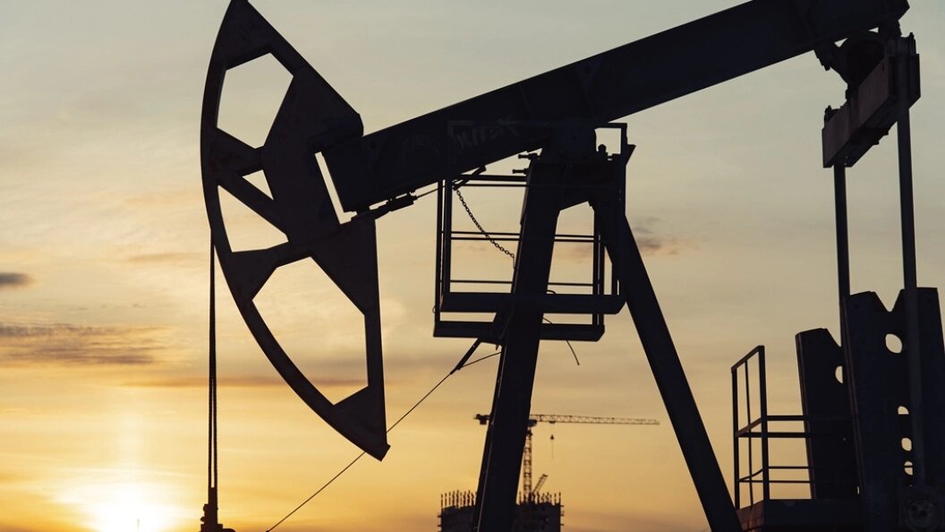    Фото: Oleg Spiridonov/Business Online/Globallookpress