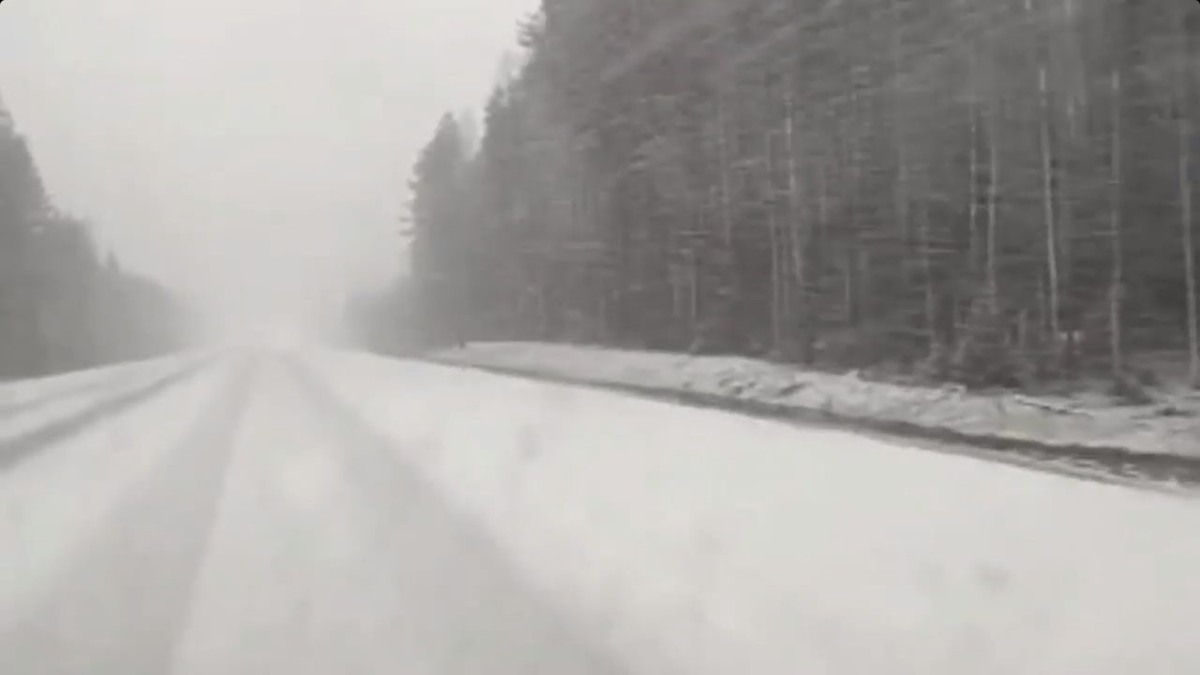    Фото: ГИБДД Карелии