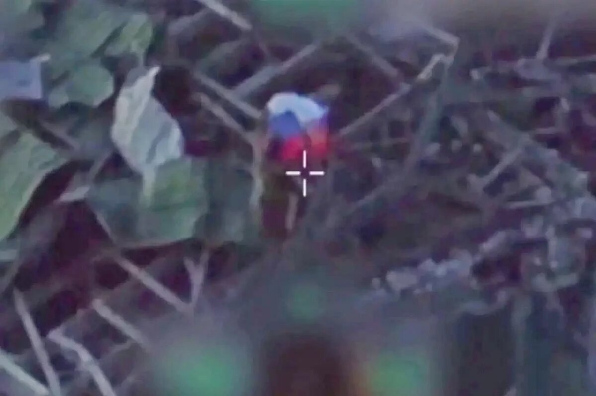    Минобороны показало развевающийся флаг РФ над Нескучным