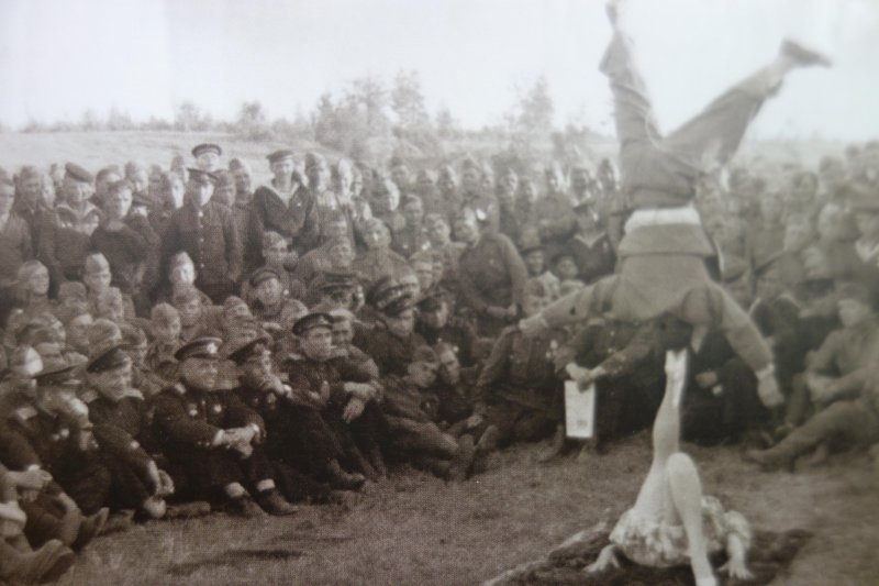 Цирковые артисты на фронте, фото отсюда https://smolbattle.ru/