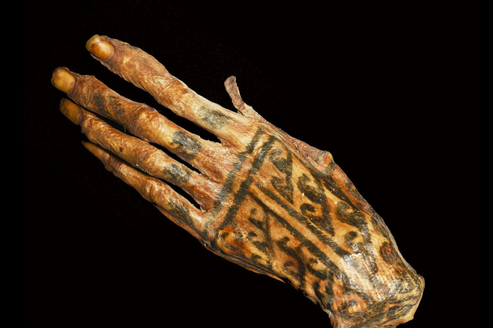     Фото: Michael Pittman; Thomas G. Kaye