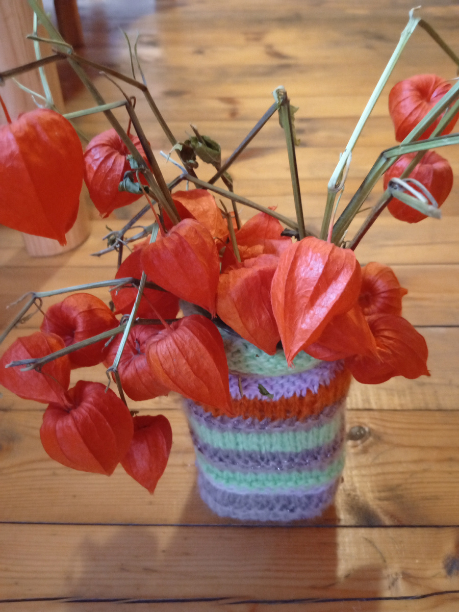 Фонарики физалиса🫒🫒🫒