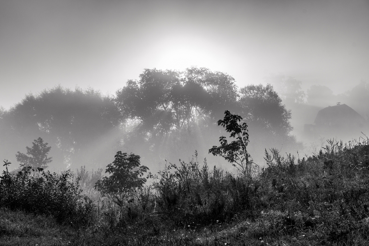 Фото Станислав Аникин