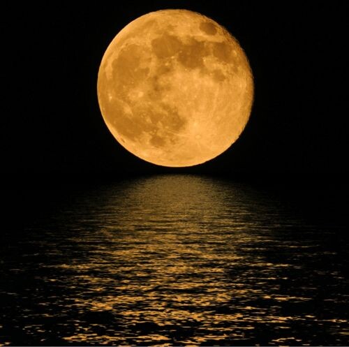 Картинка из свободных источников. Яндекс картинки.